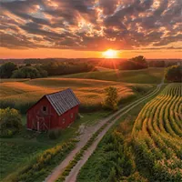 farm with a red barn and a foot road cutting across the field