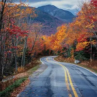 winding road through a forest in autumn, mountains in the background