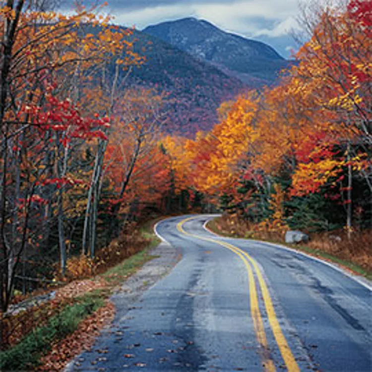 winding road through a forest in autumn, mountains in the background