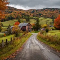 a rural road in autumn