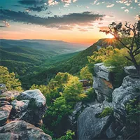 view of mountains and foliage in virginia