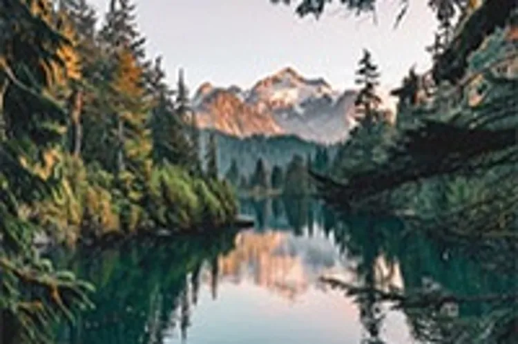 lake in washington surrounded by trees near a mountain
