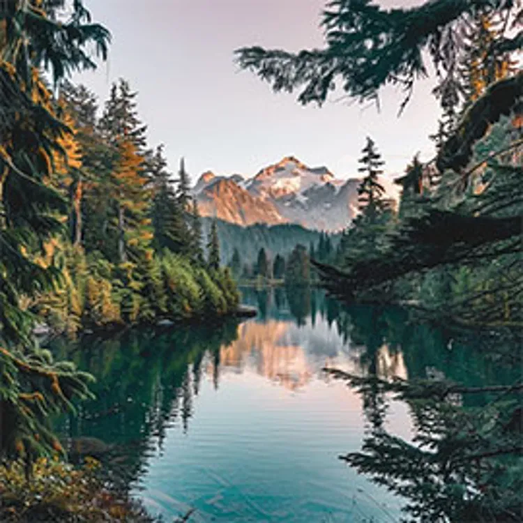 lake in washington surrounded by trees near a mountain