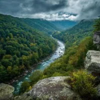 a river in the middle of a forest
