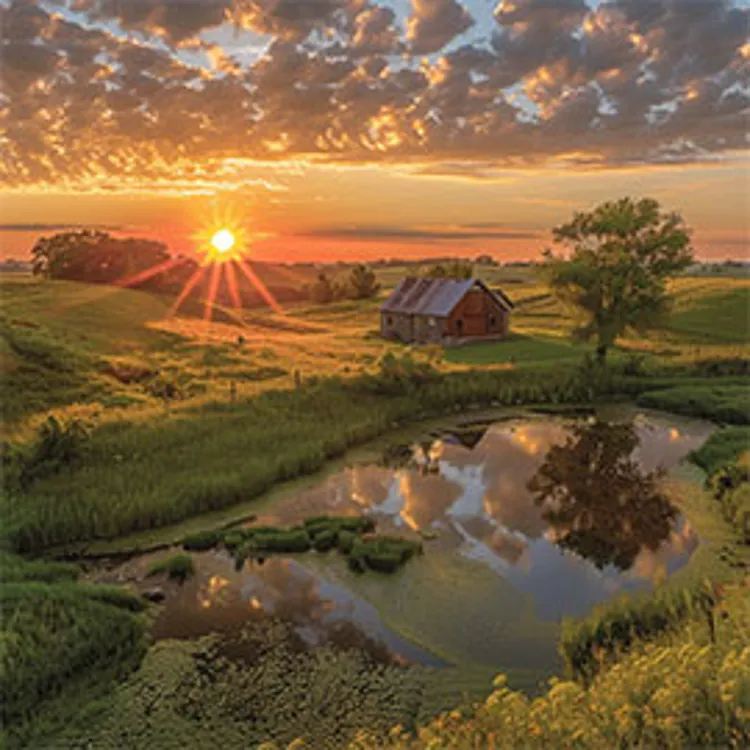 landscape image of a farm with a red barn, a pond, and a tree at sunset