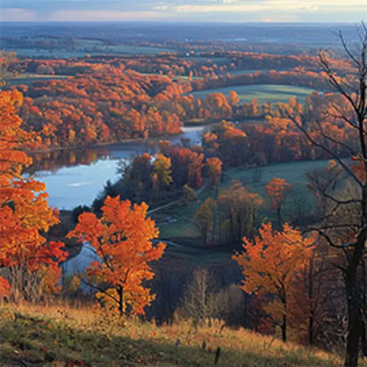 autumn forest and lakes