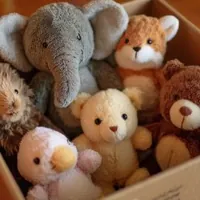 a cardboard box filled with six plush stuffed animals