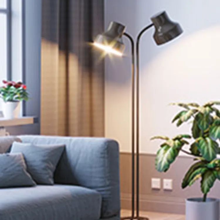 living room with lamp on