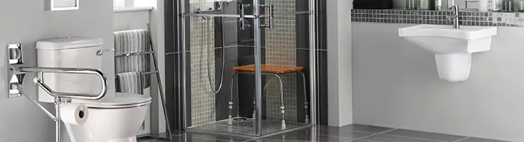 grab bars in bathroom