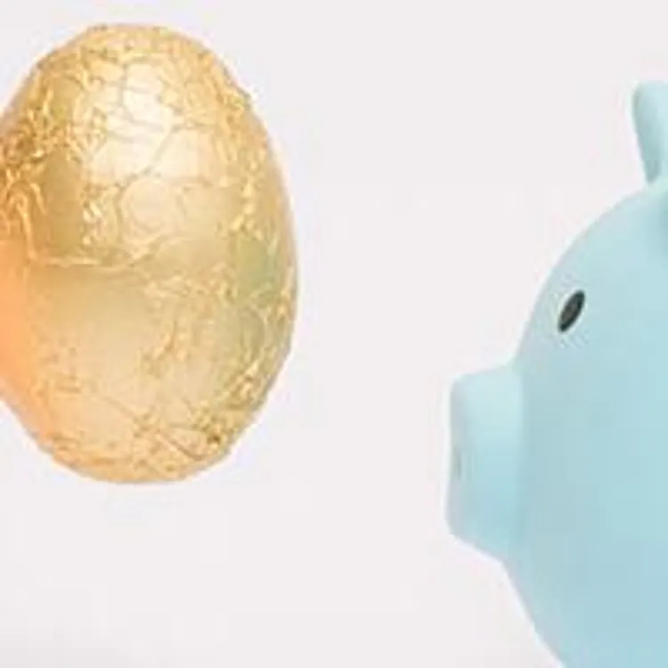 pastel blue and pink piggy banks facing each other with a golden egg in the middle