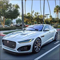 jaguar in a parking lot