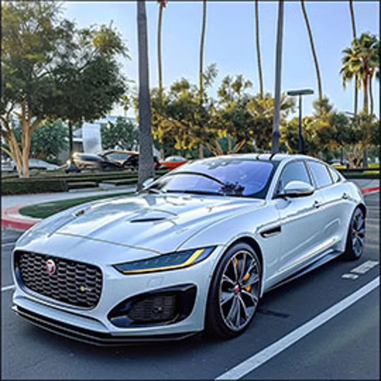 jaguar in a parking lot