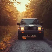 dark colored suv on a forest road