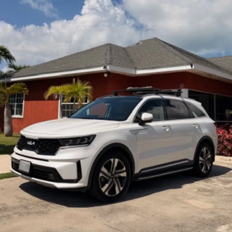 White SUV parked on a driveway in front of a red house with palm trees and a blue sky.
