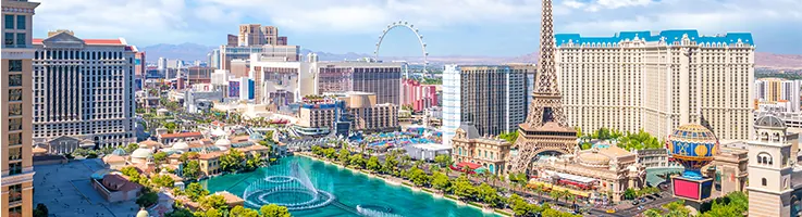 las vegas plumbing skyline