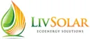 Liv Solar
