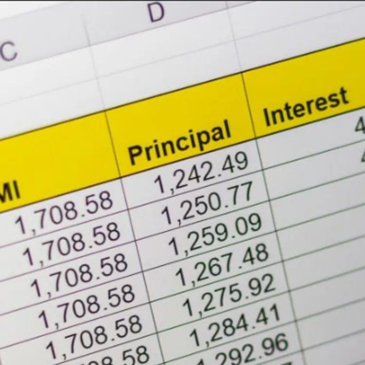 loan payment spreadsheet showing principal interest and balance columns