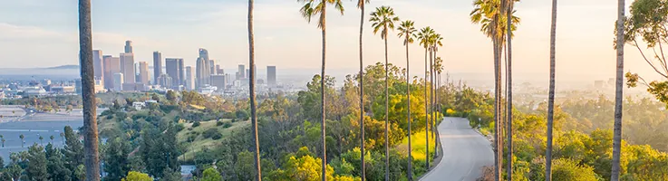 los angeles skyline