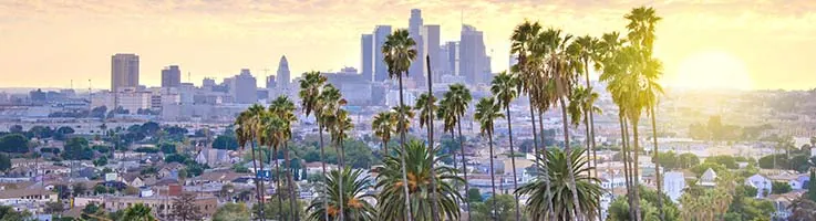 Los Angeles skyline