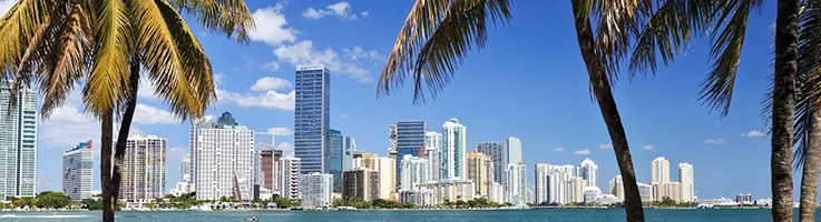 miami skyline