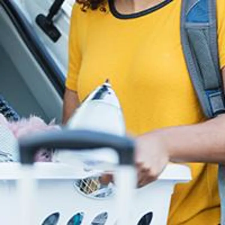 father and daughter loading car with daughter's belongings