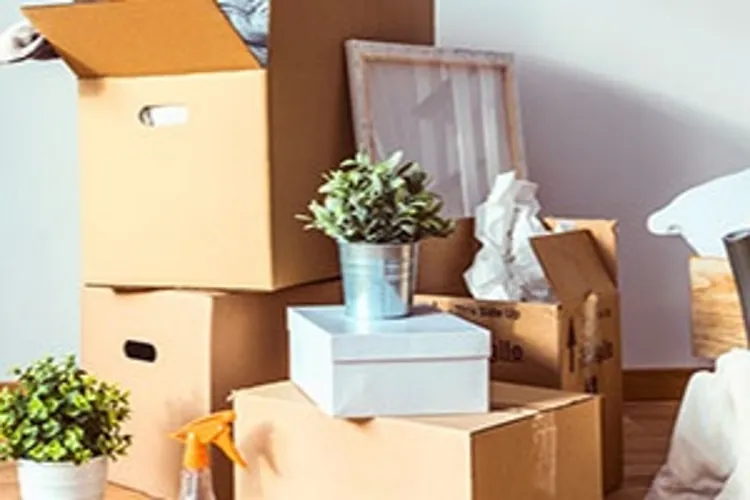 moving boxes
