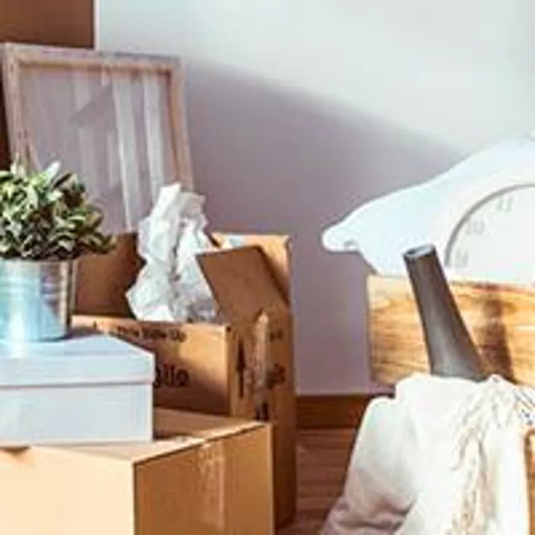 moving boxes