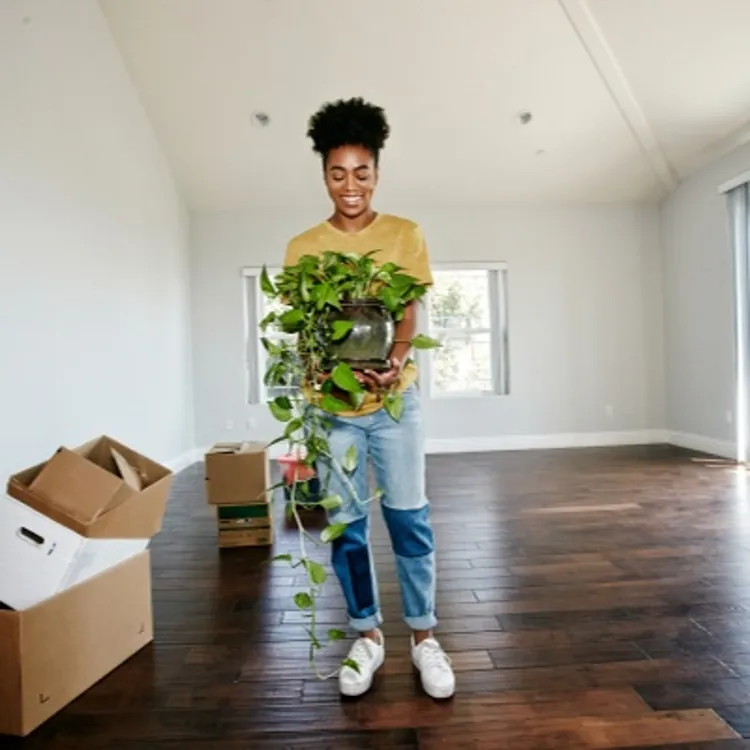 Plan for moving day