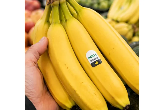 Hand holding a bunch of ripe bananas with a sticker labeled Ecuador in a grocery store