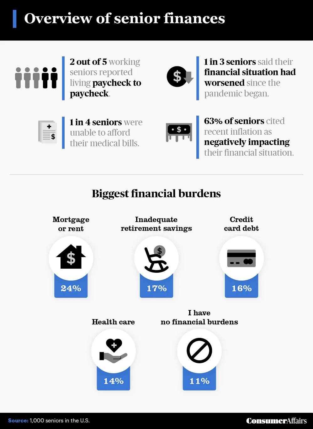 graphic depicting an overview of senior finances