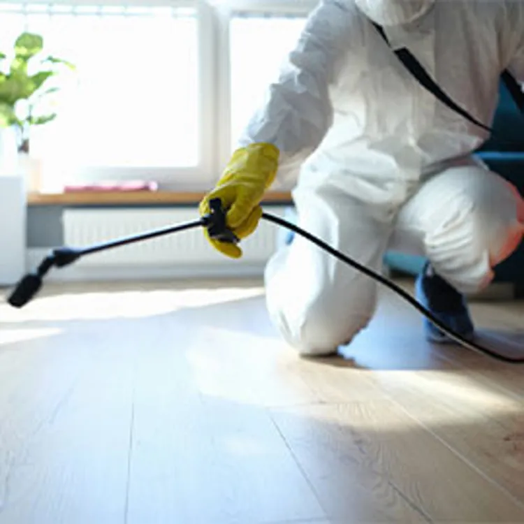 pest control stats and trends header
