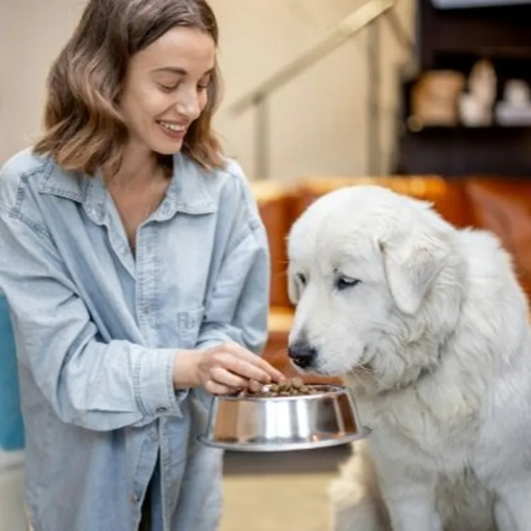 Find the right pet food