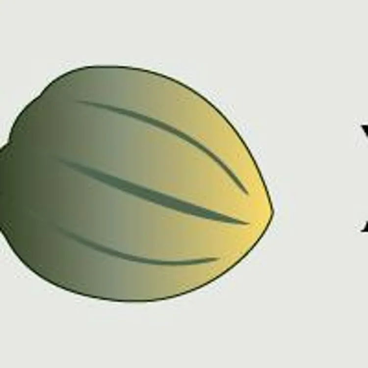 pregnancy marker acorn squash