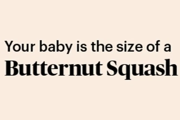 pregnancy marker butternut squash