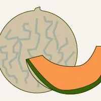 pregnancy marker cantaloupe