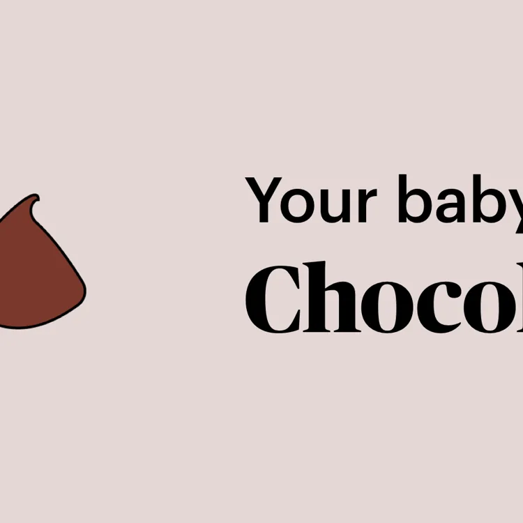 pregnancy marker chocolate chip