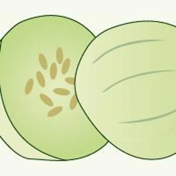 pregnancy marker honeydew melon