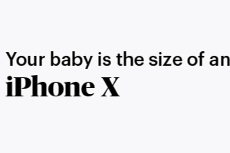 pregnancy marker iphone x