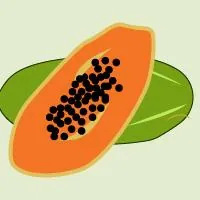 pregnancy marker papaya