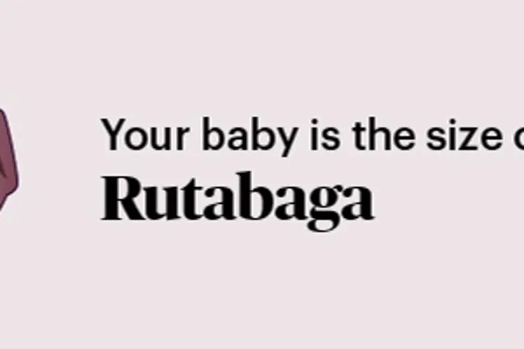 Pregnancy marker rutabaga