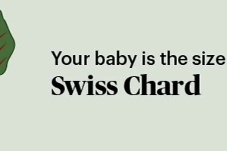 pregnancy marker swiss chard