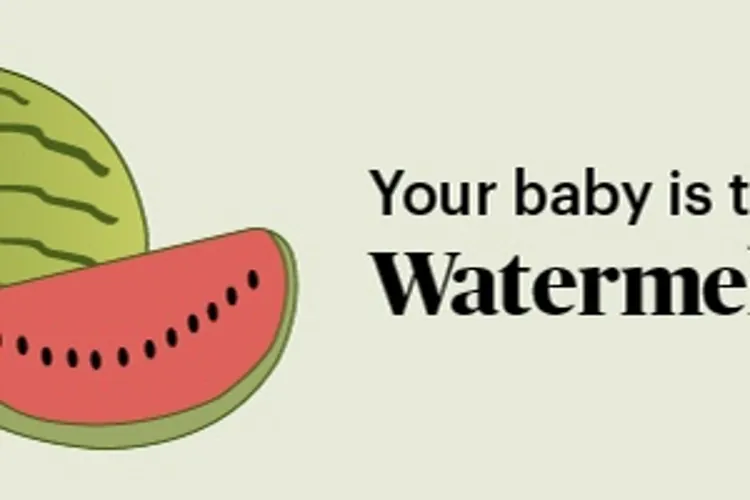 pregnancy marker watermelon