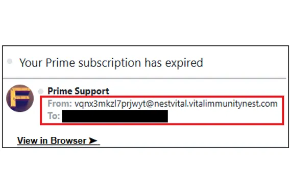 Email notification showing a Prime subscription expired message with sender and recipient details