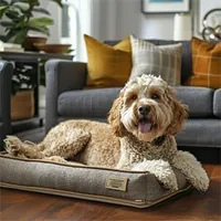pet dog sitting on its bed in the living room