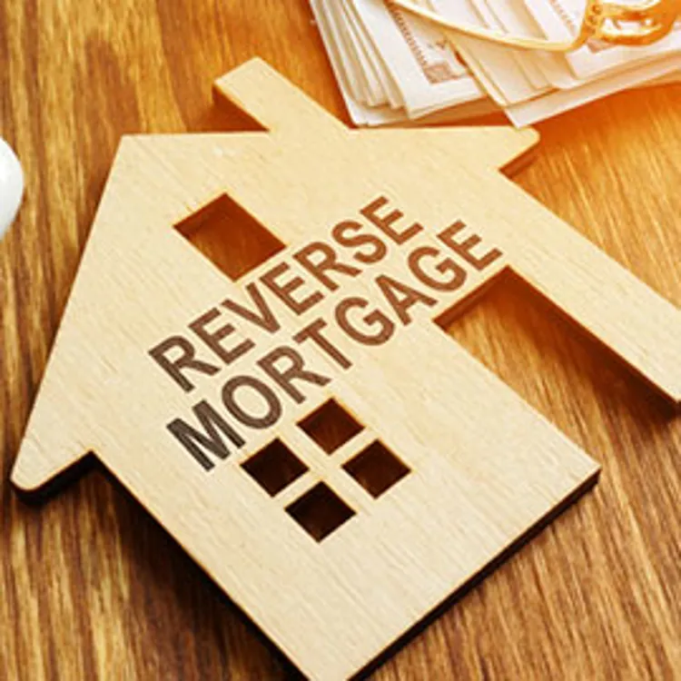 miniature flat house with reverse mortgage written