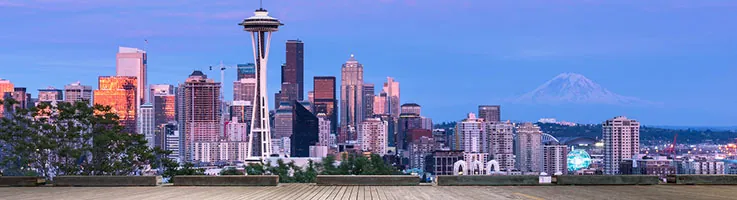 seattle auto transport skyline