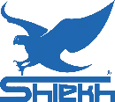 Shiekh Shoes