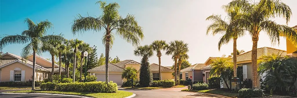 neighborhood in the south