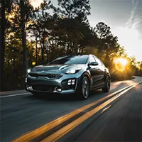 car along  a tree-lined highway