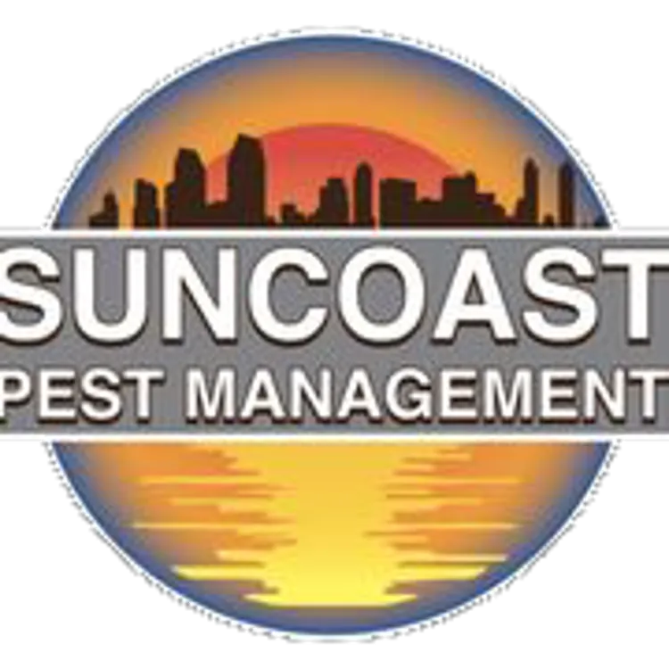 Suncoast Auto Transport Suncoast Auto Transport